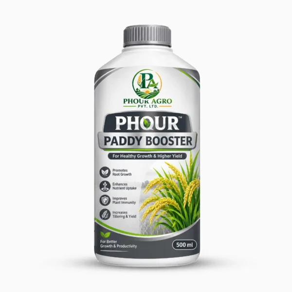 Phour Paddy Booster