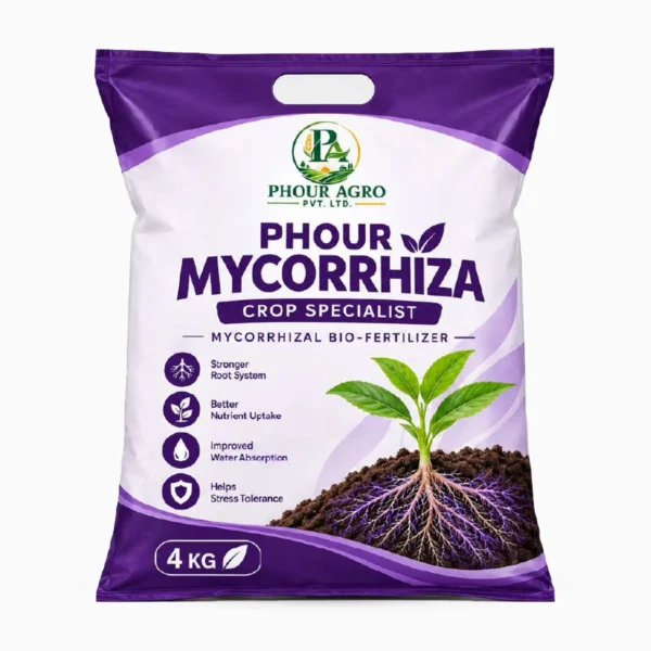 Phour Mycorrhiza